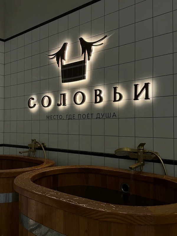 Соловьи